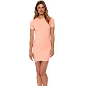 NWT Likely Manhattan Dress Pink Size 8 Medium